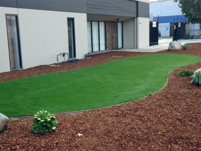 Artificial Grass Installation in Westmont, California