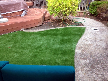 Artificial Grass Installation in Weston, Florida