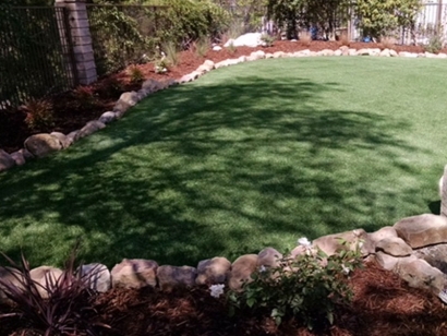 Synthetic grass backyard