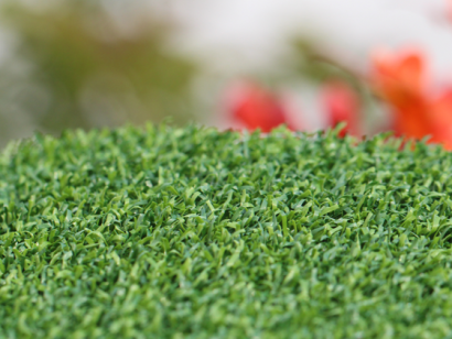 Putt-60 Bicolor Backyard Putting Green Synthetic Turf