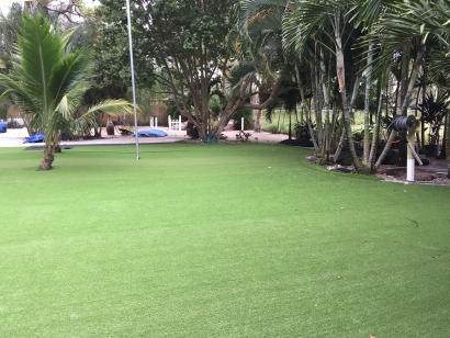 Landscape Ideas with Synthetic Grass Azusa, California