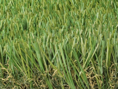 Cool Blue Hollow Olive Turf Keeps My Yard Cool in Hot Weather