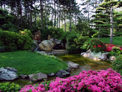 Basic principles of landscape design