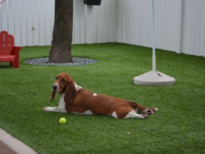 Dog Pound Artificial Grass for Dogs North Highlands, California