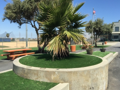 Outdoor Carpet, Artificial Grass Pico Rivera, California