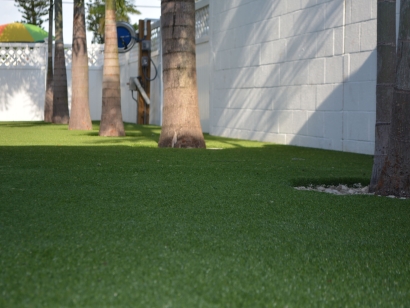Artificial Grass Around Trees. Lakewood, California