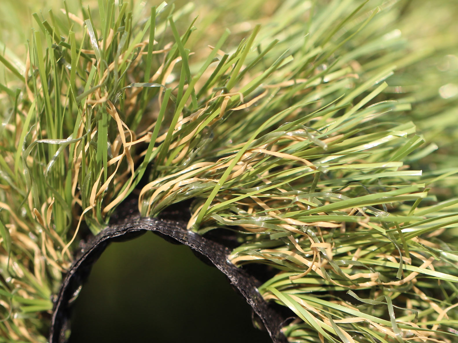 Turf Installation Phoenix Az