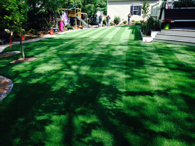 Green Grass Carpet | Artificial Turf Gardena California ...